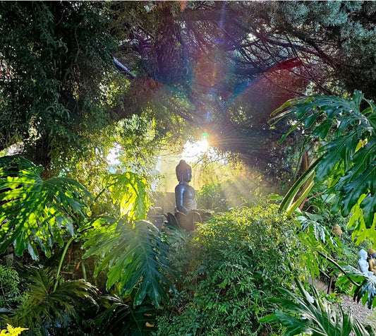 The Enlightenment and tranquility of a Buddha