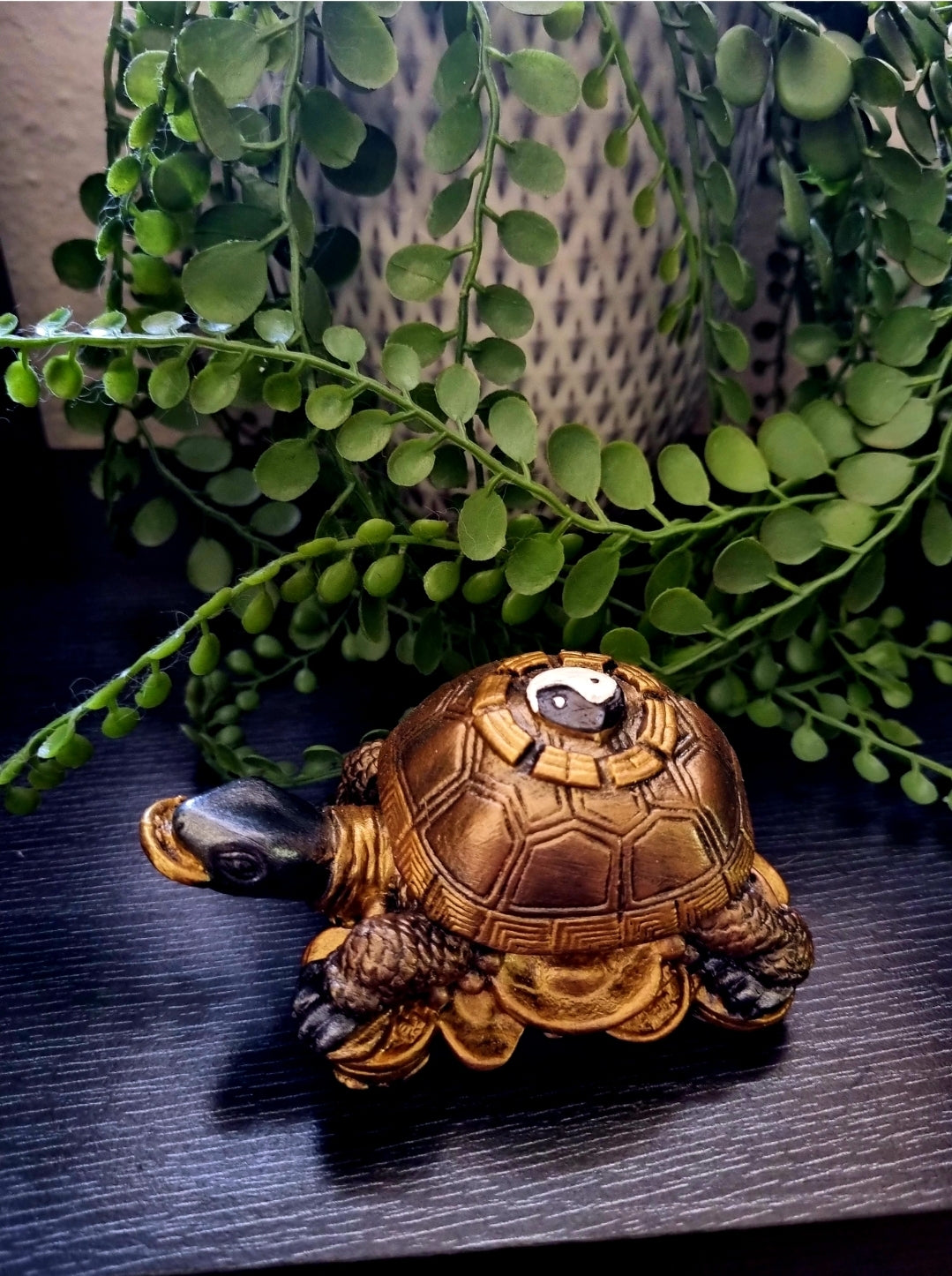 Money Turtle 6cm