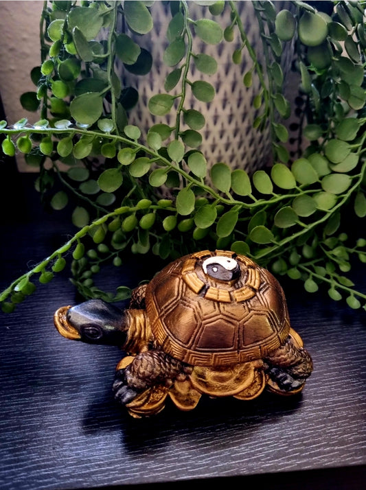 Money Turtle 6cm
